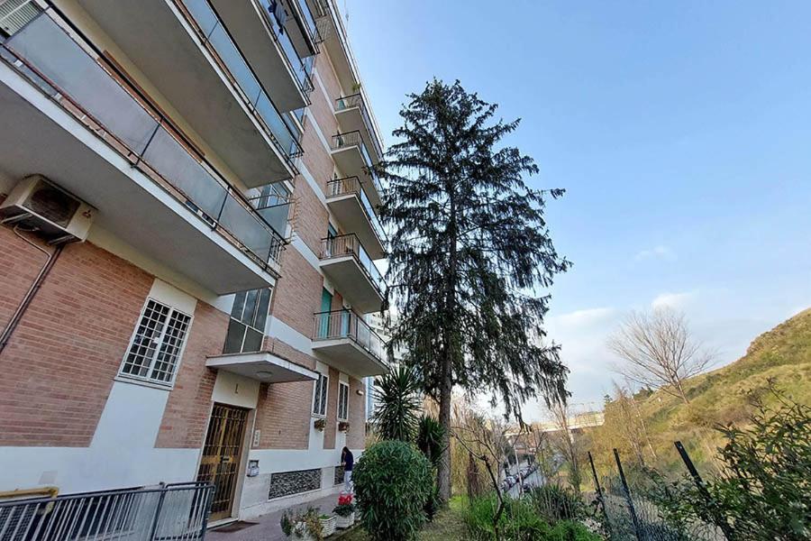 La Casa Di Flavia Hotel Rome Bagian luar foto